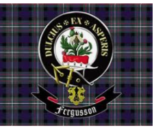 Clan Flag (Nylon) Ferguson