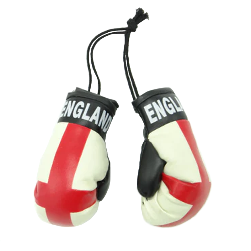 Mini Boxing Gloves