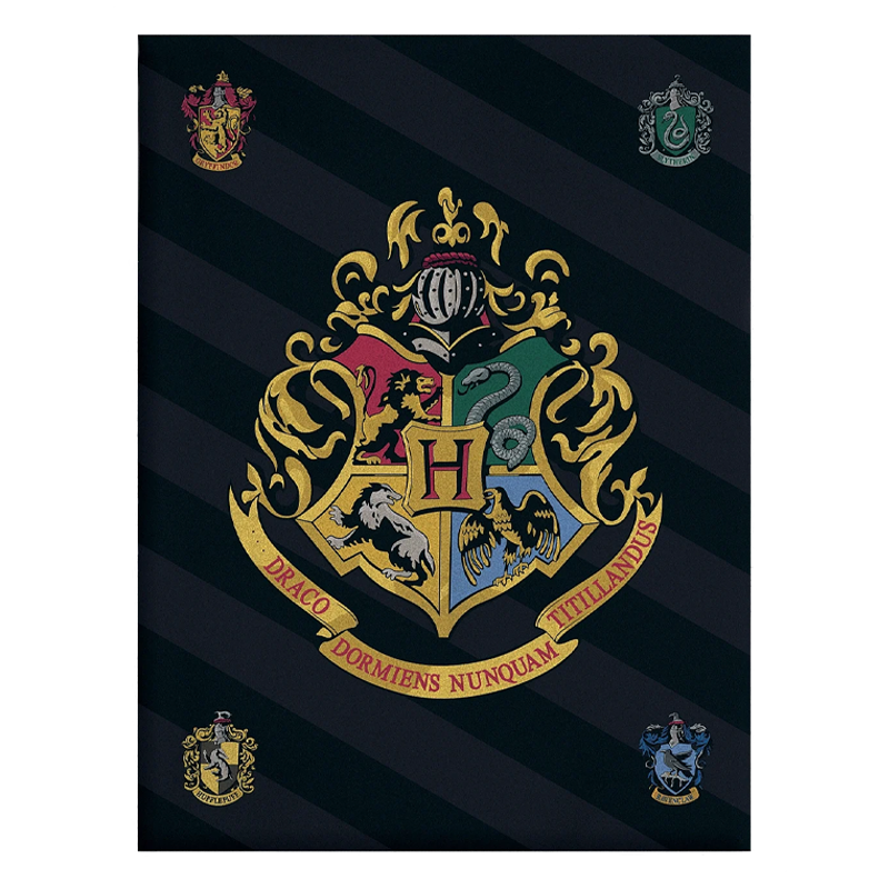 Harry Potter Hogwarts Black Fleece Blanket