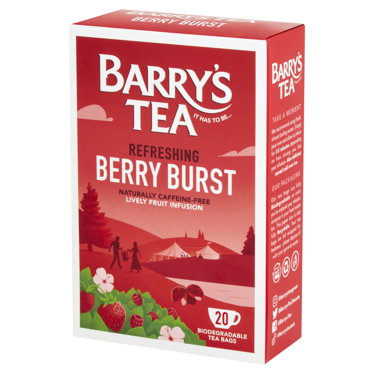 Barry's Berry Burst 20 Tea Bags — The Scottish and Irish Store
