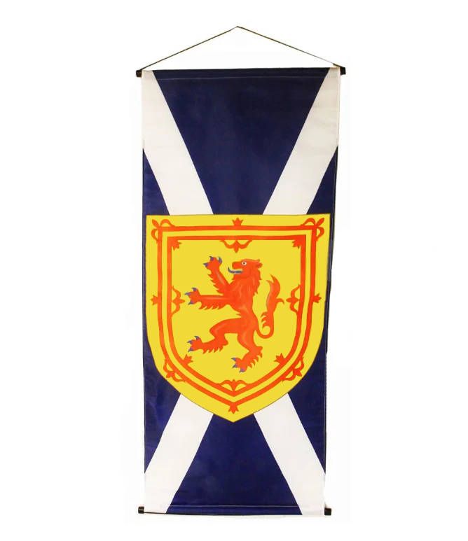 Large Banner