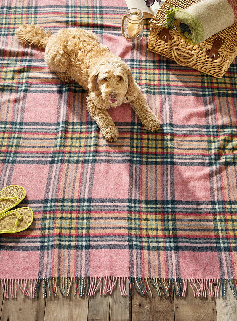 St Ives Pink Wool Blanket