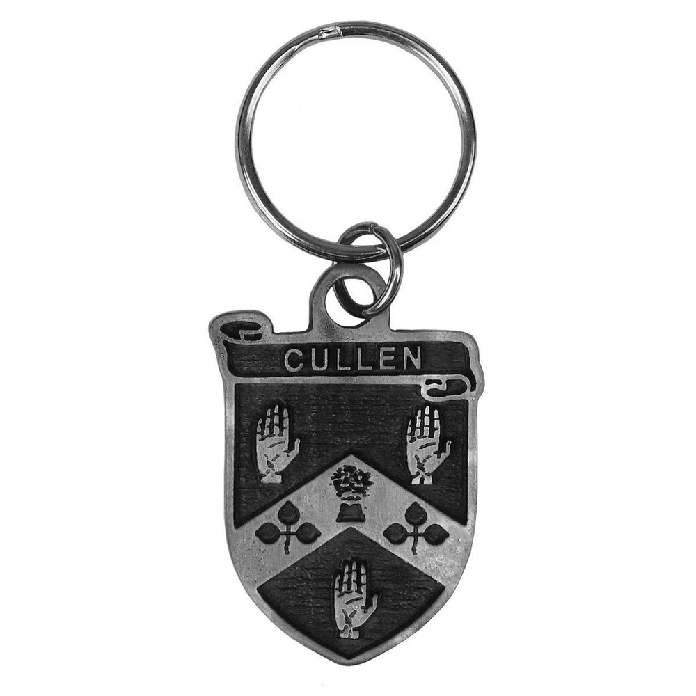 Irish Coat of Arms Pewter Key Chain