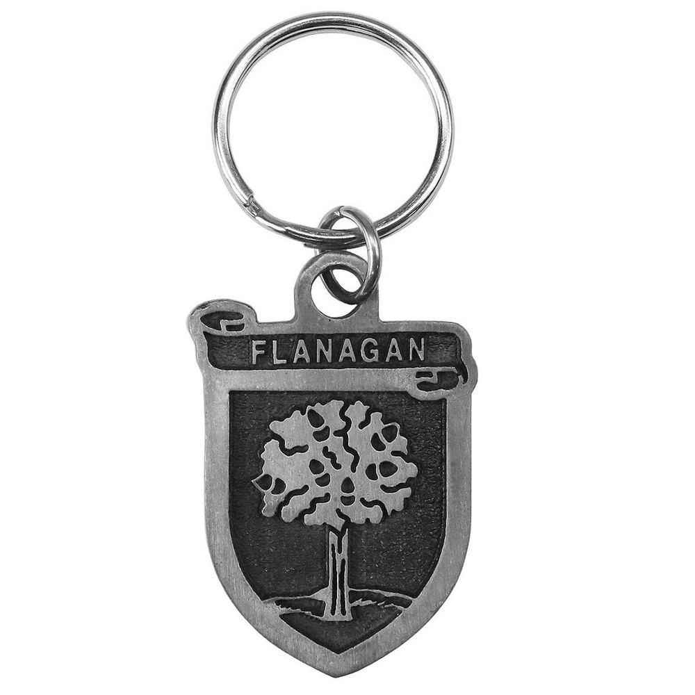 Irish Coat of Arms Pewter Key Chain