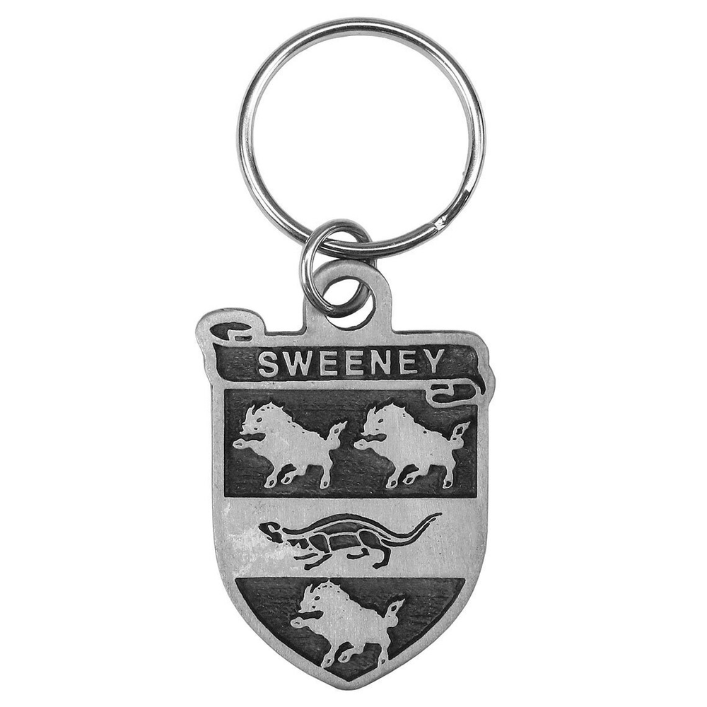 Irish Coat of Arms Pewter Key Chain