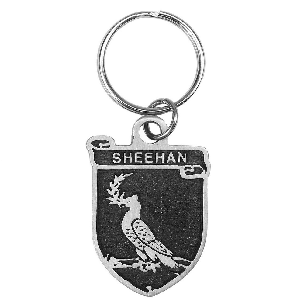 Irish Coat of Arms Pewter Key Chain