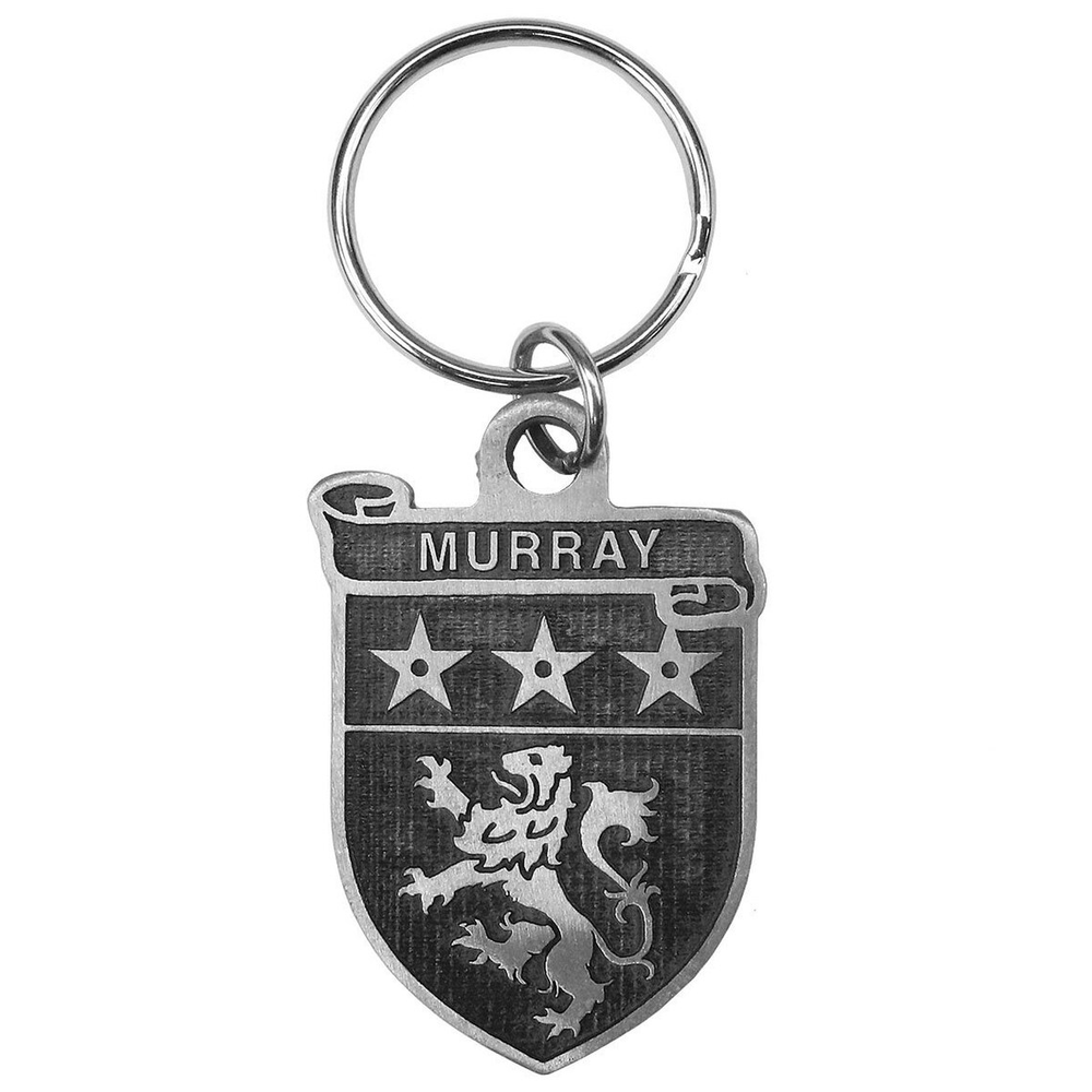 Irish Coat of Arms Pewter Key Chain
