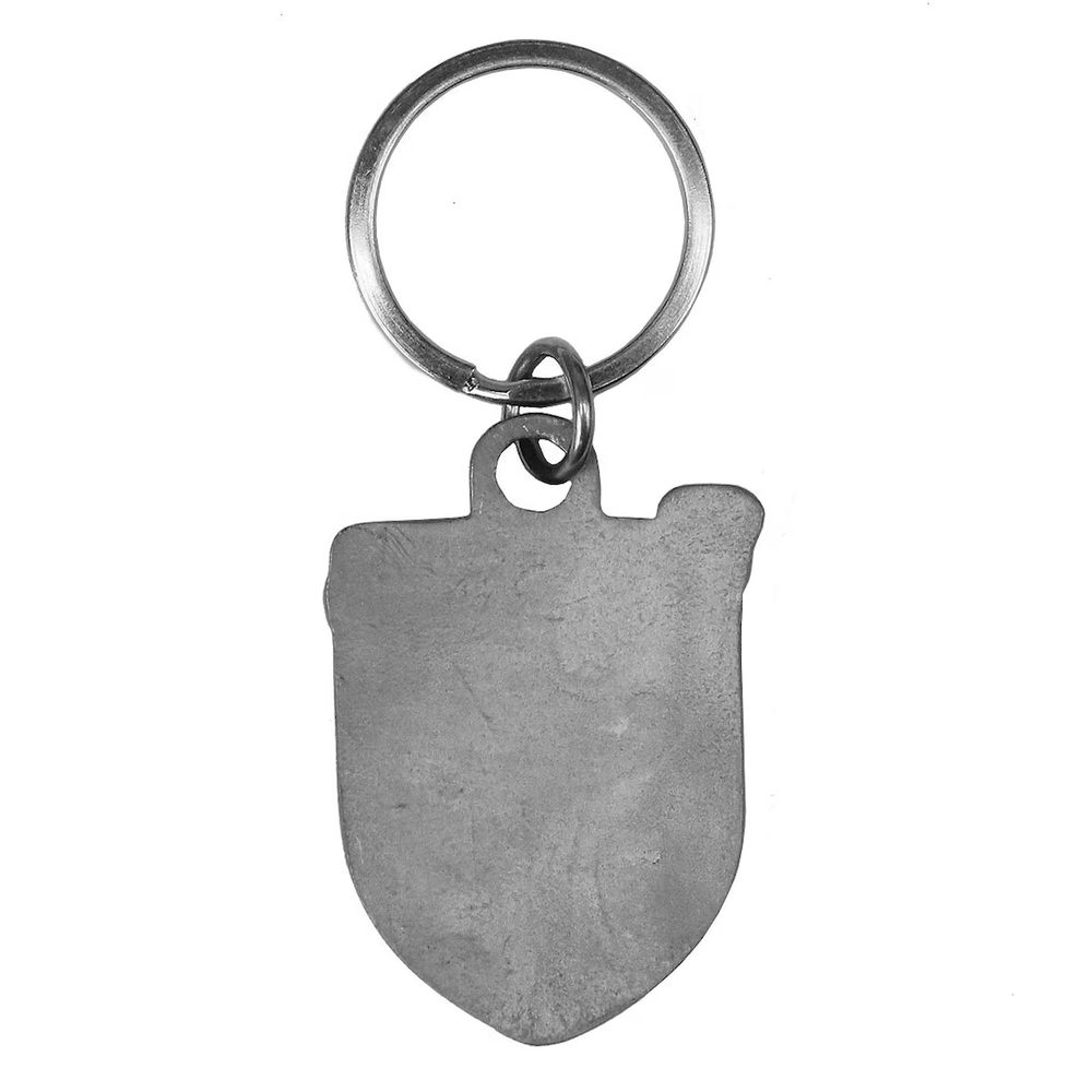 Irish Coat of Arms Pewter Key Chain