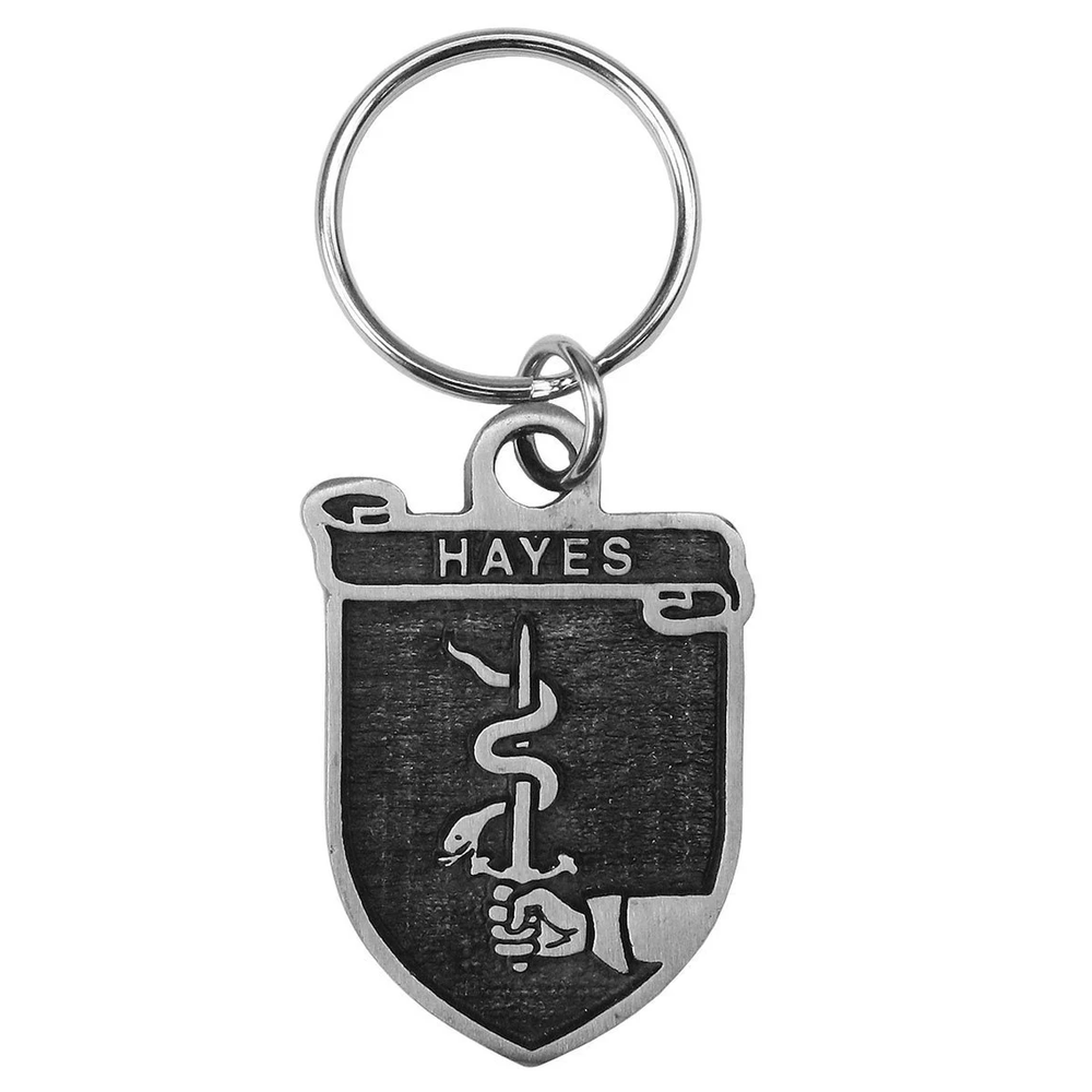 Irish Coat of Arms Pewter Key Chain