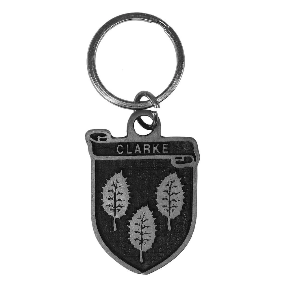 Irish Coat of Arms Pewter Key Chain