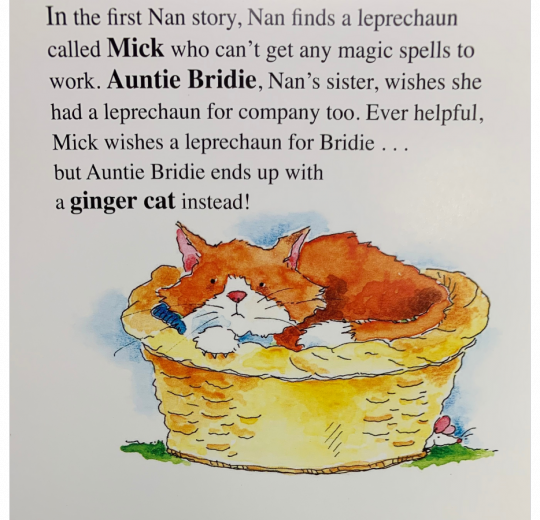 Me Nan, Me Auntie's Cat And The Leprechaun