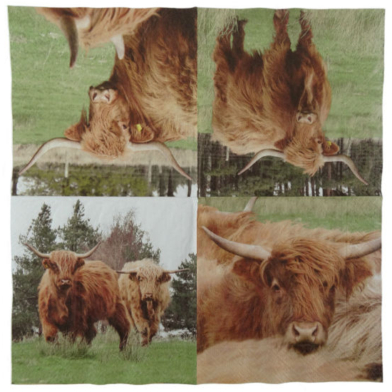 Highland Cow Napkins