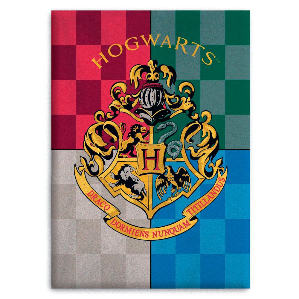 Harry Potter Hogwarts Colourful Fleece Blanket
